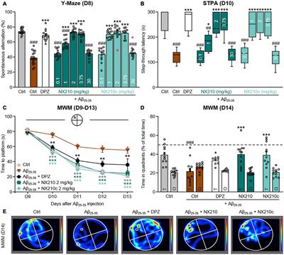 Subcommissural Organ-Spondin-Derived Peptide Restores Memory in a Mouse Model of Alzheimer’s Disease